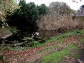 Ancien lavoir dit routoir à lin, venelle du Lavoir, Goazjoulin (Plouézec)