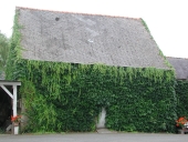 2ème maison, la Perrière (Visseiche)