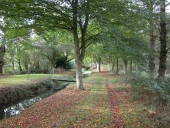 Architecture du génie civil sur la commune de Dingé