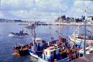 Pêches côtières et d'estran (Binic fusionnée en Binic-Etables-sur-Mer en 2016)