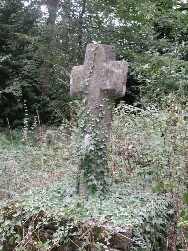 Croix de chemin, près des Chambots (Bains-sur-Oust)