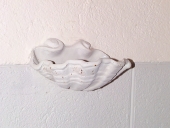 Bénitiers (2) (en pendant)