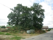 Motte féodale, la Piedevachais (Langouët)