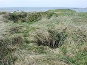 Bunker - encuvement (?), Pointe Saint-Samson, Pierre Double (Plougasnou)