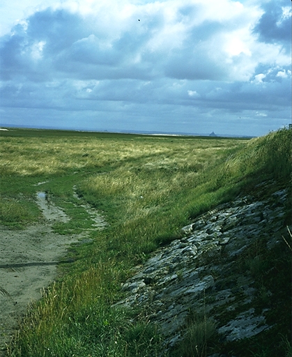 Digue, dite Chaussée de la Duchesse Anne (Le Vivier-sur-Mer)