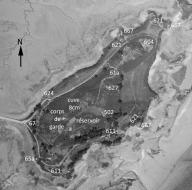 Ensemble fortifié codé "Po46" de l'Ile à Bois (Lézardrieux)