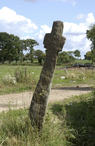 Croix de chemin, route départementale 38, Montafilan (Maxent)