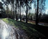 Présentation de la commune de Lanouée (fusionnée en Forges de Lanouée en 2019)