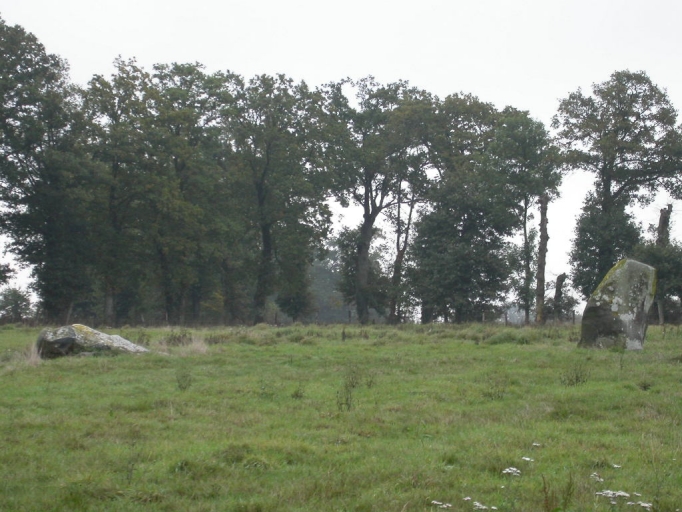 Alignement de menhirs de Bringuerault, Clos-Alaire, les Bredouillères (Bazouges-sous-Hédé)