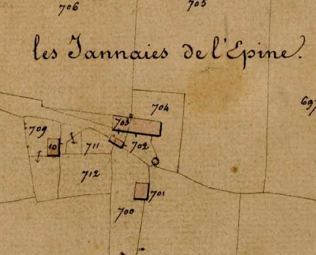 Ecart, les Janaies de l'Epine (Guipel)