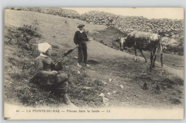 Murets de pierre sèche, nord-est de la pointe du Raz (Plogoff)