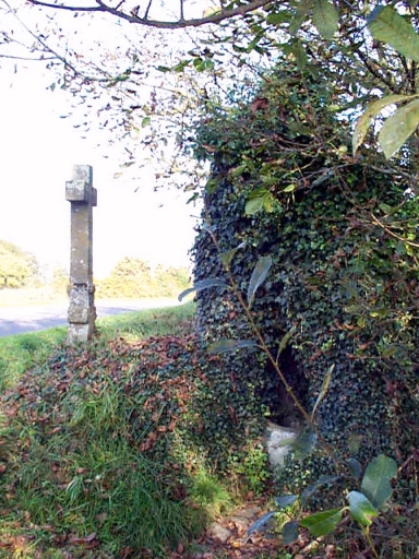 Croix de chemin, la Dibois (Baguer-Morvan)