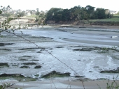 Réservoir à poissons : la pêcherie de Rieu (Lancieux)