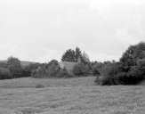 Chapelle Saint Gildas-du-Pré, Saint-Gildas (Saint-Gilles-Pligeaux)