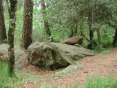 Allée couverte dite les Brousses Noires ou le Tombeau des Anglais, près des Brousses Noires (Paimpont)