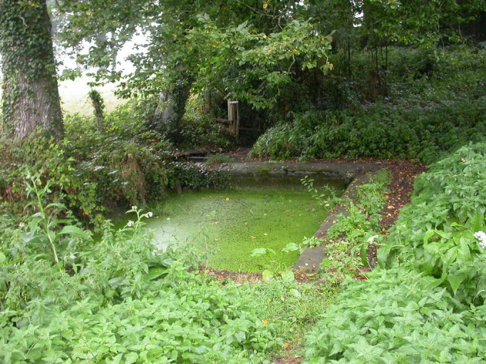 Lavoir, le Chenot (Plerguer)