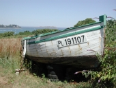 Bateau goémonier "Petit Louis"