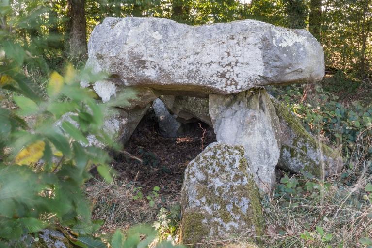 Allée couverte, le Bois du Rocher (Saint-Hélen)