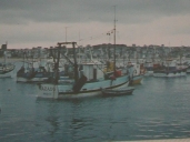 Bateau de pêche : "Nazado"