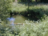 Lavoir, Couédouan (Plélan-le-Grand)