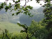 Poste d'observation Sud, Castel-an-Trébez, Forêt de Lannigou (Taulé)