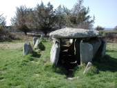 Allée couverte, dite Ty-Lia ou Ty-ar-C'Horrandened, Ile Grande (Pleumeur-Bodou)