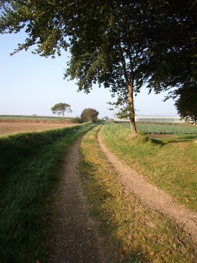 Ancienne voie ferrée d'intérêt local Tréguier-Petit-Camp (Louannec), premier réseau, Kerprigent ; la Gare ; Binen (Penvénan)