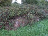 Menhir, la Bresselais (Monterrein fusionnée en Ploërmel en 2019)