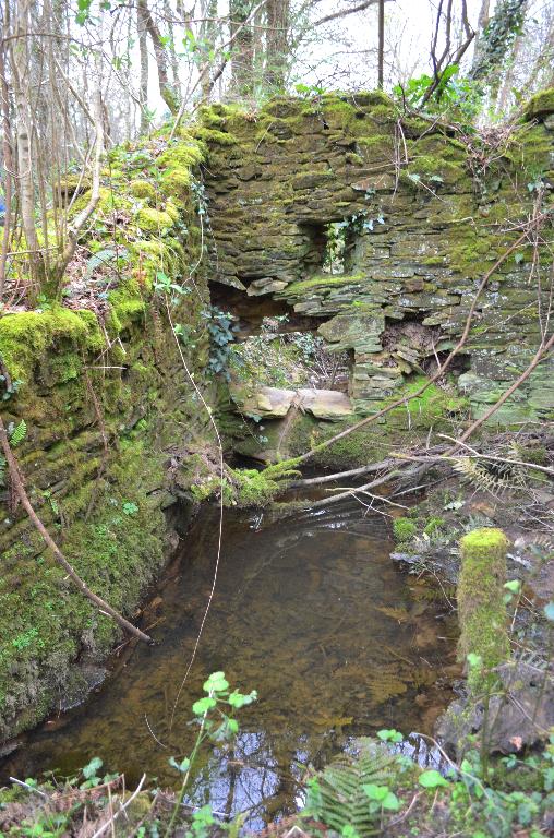 Kanndi de Lezuzan (Dirinon)