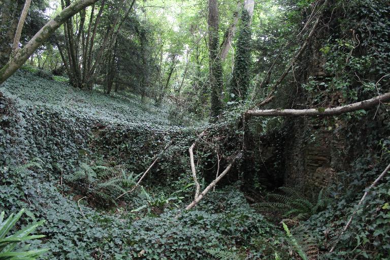 Kanndi de Runaher Tinduff (Saint-Urbain)