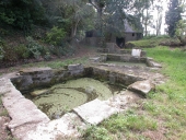 Blandierie de Carho (Saint-Brandan)