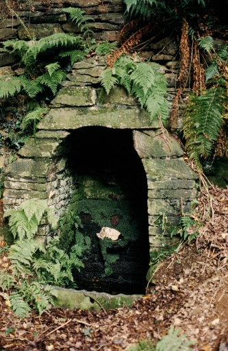 Fontaine Saint-Guénolé, Kervent (Lopérec)