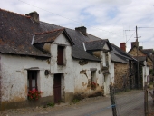 Alignement de maisons, 7 à 11 rue Saint-Père (Langon)