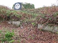 Bassin (?), Ile Cézon (Landéda)