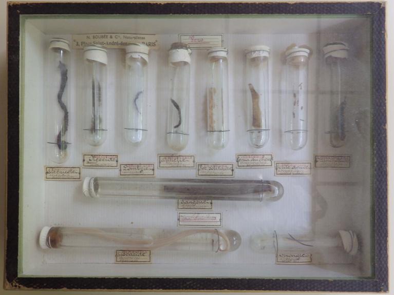 Collections pédagogiques du Lycée Auguste Brizeux, 6 Rue Bourg les Bourgs (Quimper)